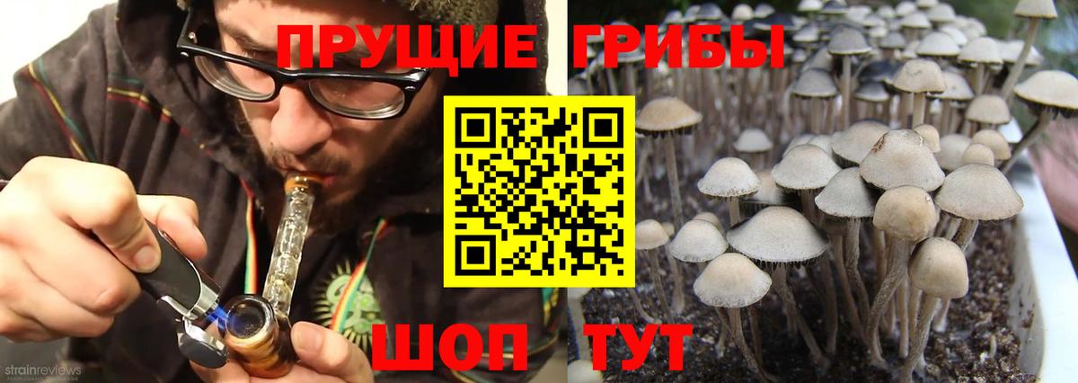 Галлюциногенные грибы мицелий  Галлюциногенные грибы мицелий  Лянтор  Вход с VPN 